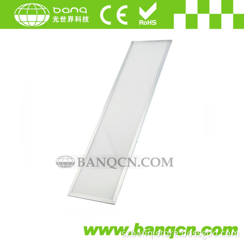 45W 4200lm SMD3014 LED Panel Light (300*120mm)